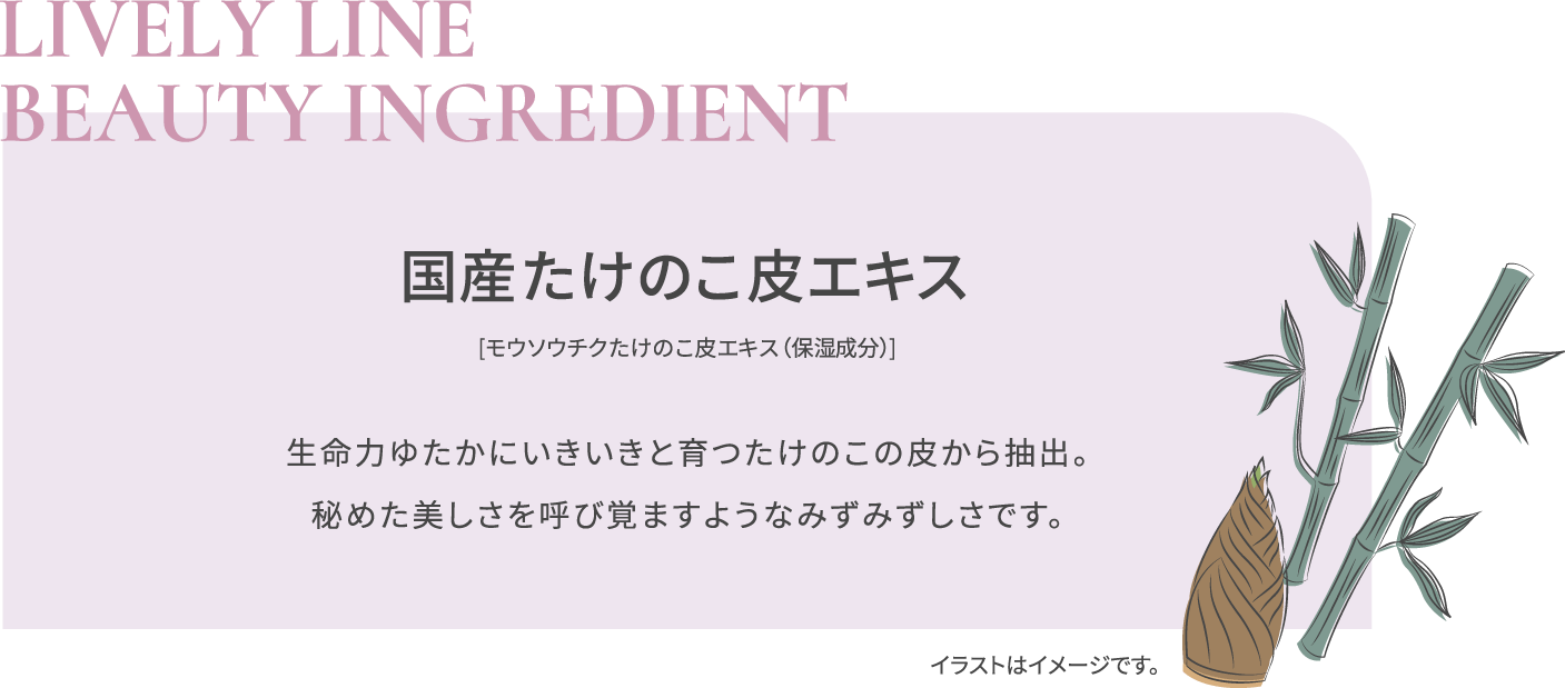 BEAUTY INGREDIENT 国産たけのこ皮エキス 【モウソウチクたけのこ皮エキス（保湿成分）】 生命力ゆたかにいきいきと育ったたけのこの皮から抽出。 秘めた美しさを呼び覚ますようなみずみずしさです。