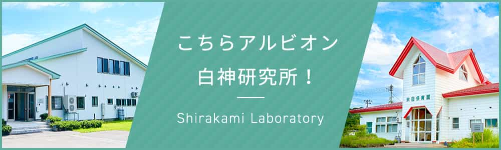 こちらアルビオン白神研究所！