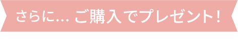 さらに... ご購入でプレゼント！